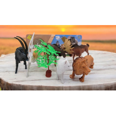 Set 6 animale salbatice, diverse modele, multicolor,...