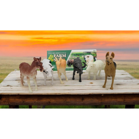 Set 6 animale domestice, diverse modele, 28×20cm, multicolor, +3ani, en-gros