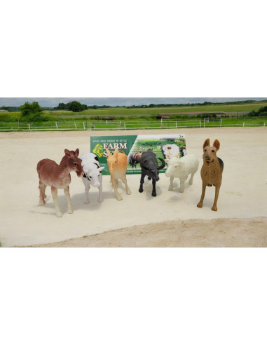Set 6 animale domestice, diverse...