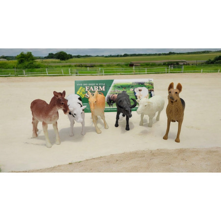 Set 6 animale domestice, diverse modele, 28×20cm, multicolor, +3ani, en-gros