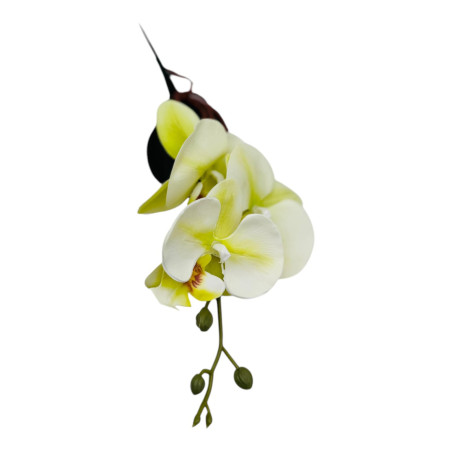 Orhidee Artificiala deosebita, 3 flori duble si 5 boboci, calitate superioara, verde crud, en-gros