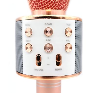 Microfon Karaoke, Flippy, pentru Copii, Bluetooth, Boxa Incorporata, Compatibil cu Orice Smartphone, Acumulator Integrat, Multif