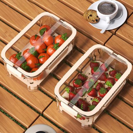 Cutie pentru Depozitare Alimente, Flippy, de Uz Casnic, 2 Compartimente, Zona pentru Gheata, Mentinere Fresh, cu Maner, Material