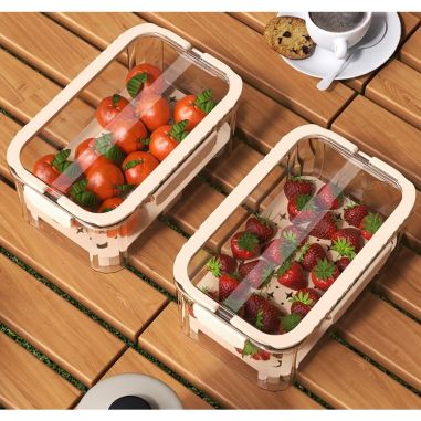Cutie pentru Depozitare Alimente, Flippy, de Uz Casnic, 2 Compartimente, Zona pentru Gheata, Mentinere Fresh, cu Maner, Material