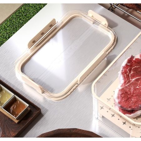 Cutie pentru Depozitare Alimente, Flippy, de Uz Casnic, 2 Compartimente, Zona pentru Gheata, Mentinere Fresh, cu Maner, Material