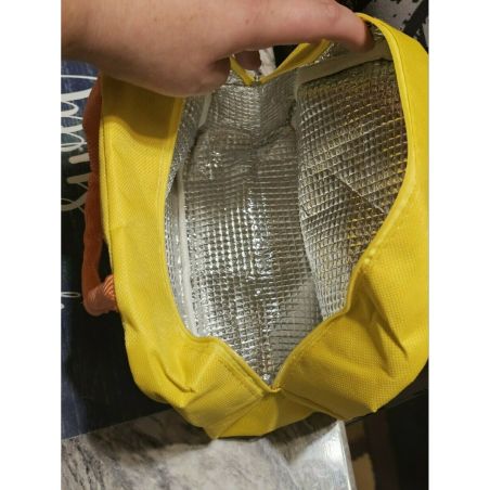 Geanta Termoizolanta pentru Copii, Flippy, 23x13x19 cm, Model Imprimeu Dinozaur, din Folie de Aluminiu si Panza Oxford, Albastru