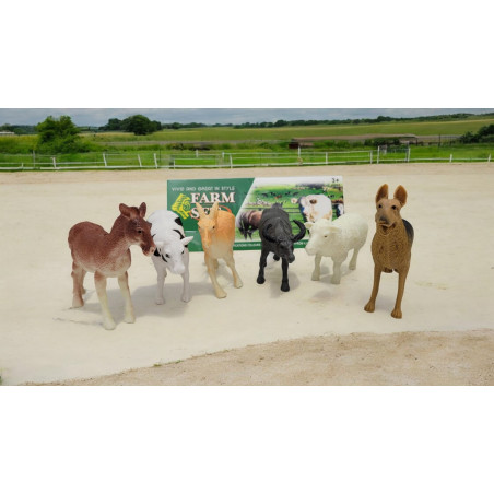 Set 6 animale domestice, diverse modele, 28×20cm, multicolor, +3ani, en-gros